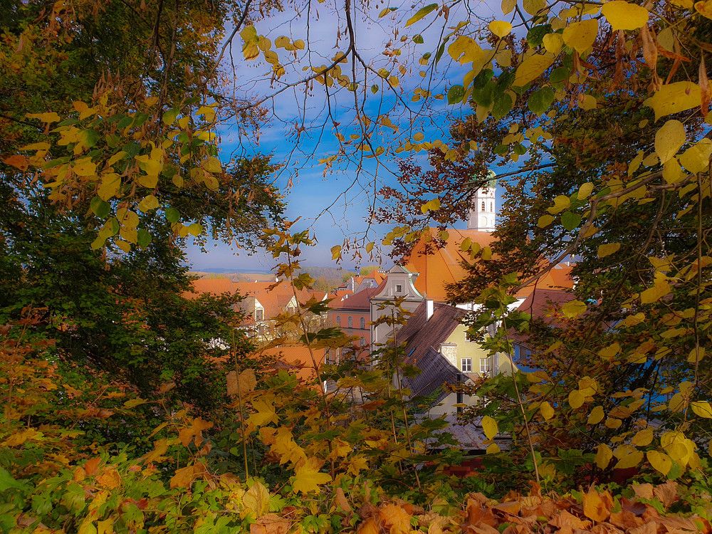 Photograph by Volkova Nataliia