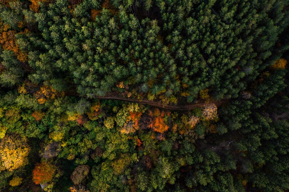 Photograph by Радослав Сотиров