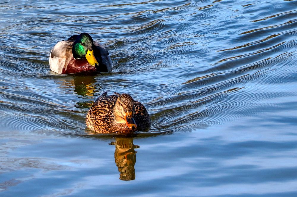 Photograph by Socratis Georgiadis