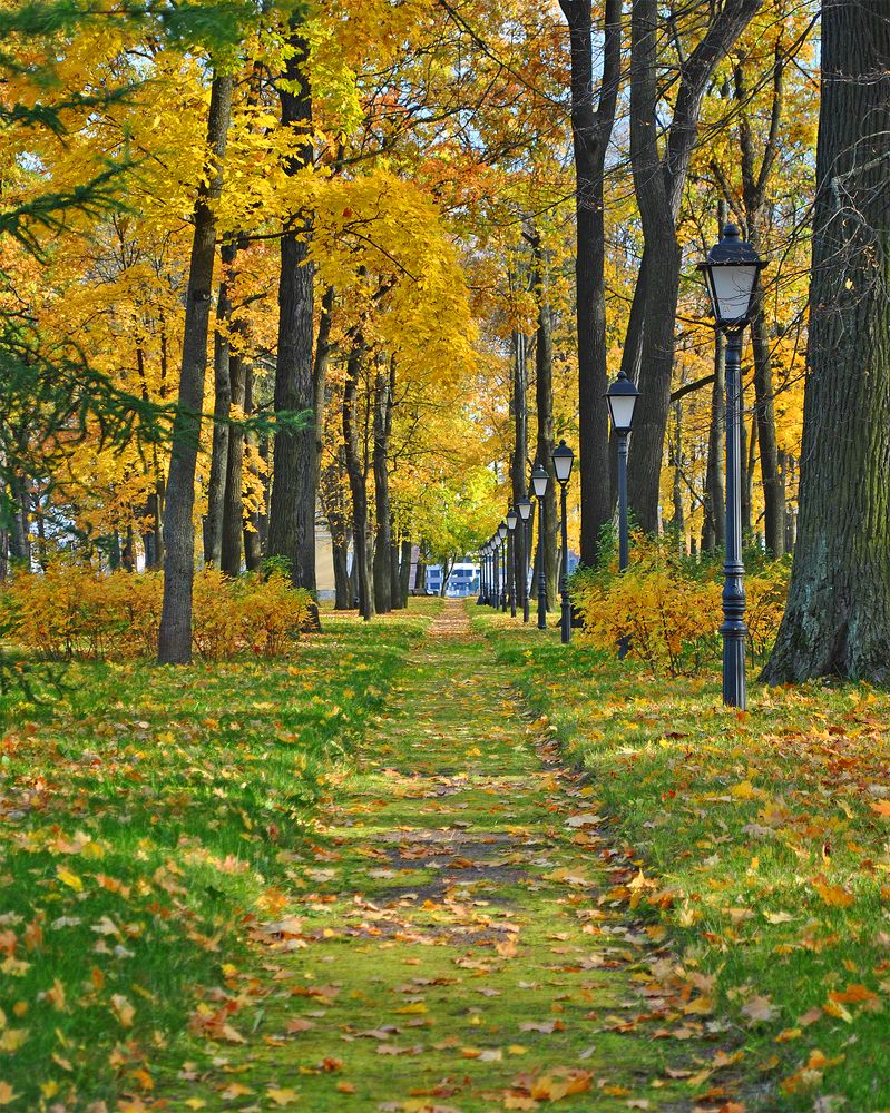 Photograph by Алексей