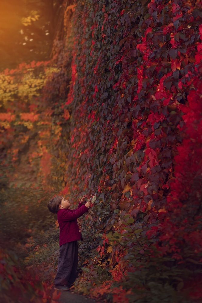 Photograph by Елена Мохонь