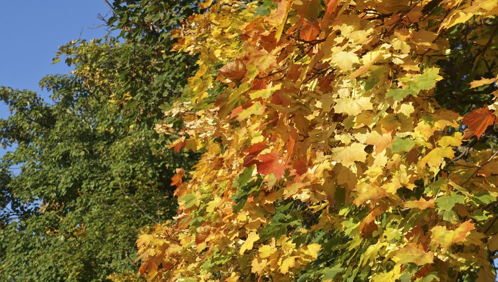 Фотография автора Эрнст Антонов