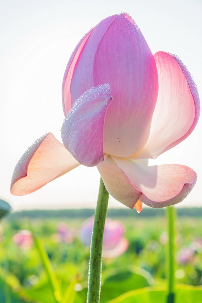 Photograph by Владимир Брагилевский