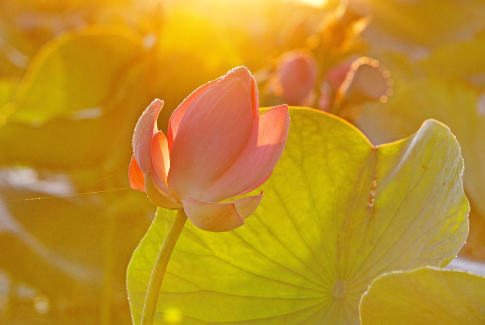 Photograph by Владимир Брагилевский