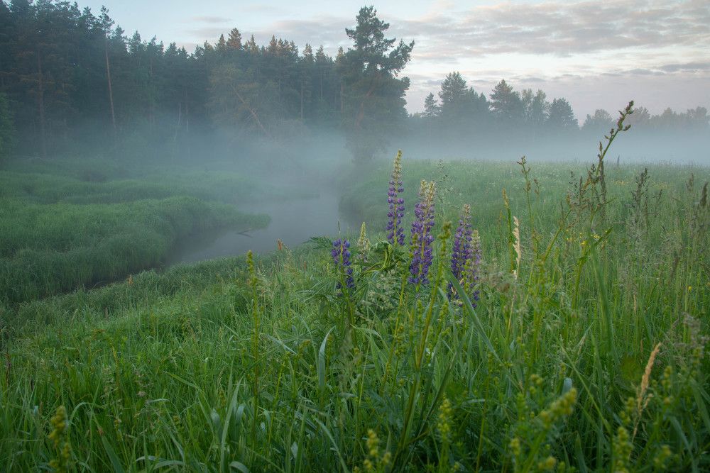 Photograph by Владимир Брагилевский