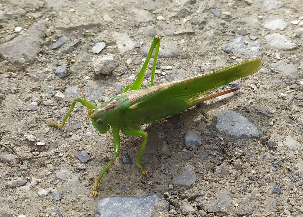 Photograph by Елена Смирнова