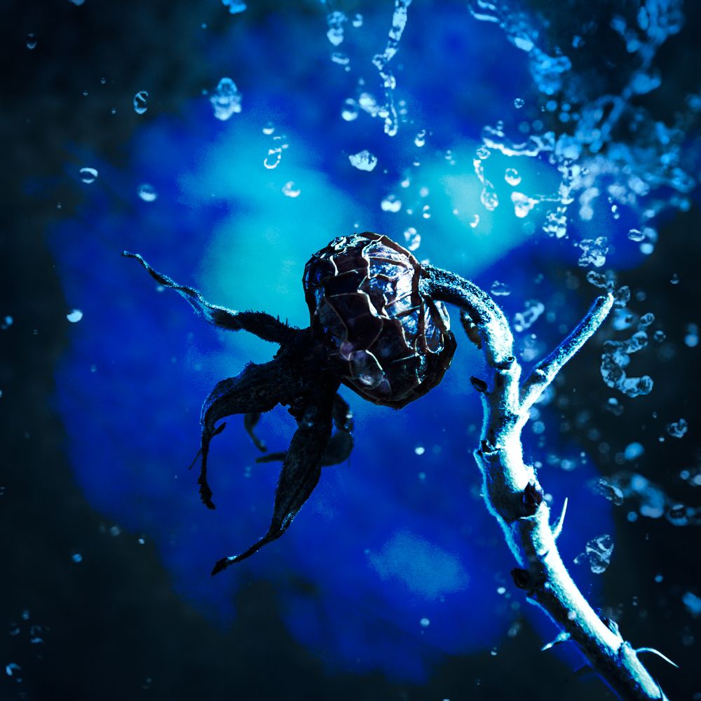 Фотография автора Альбина Хвастунова