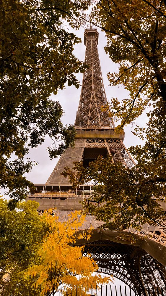 Photograph by Алина Шевченко