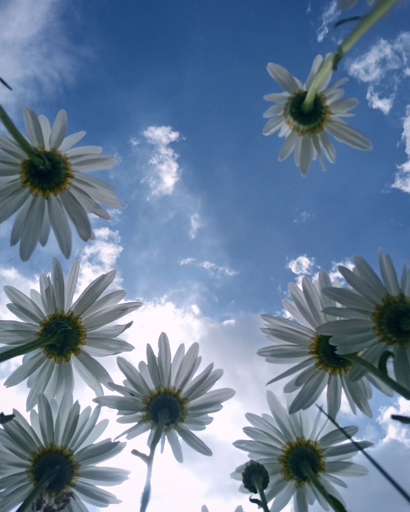 Photograph by Halina Mitsevich