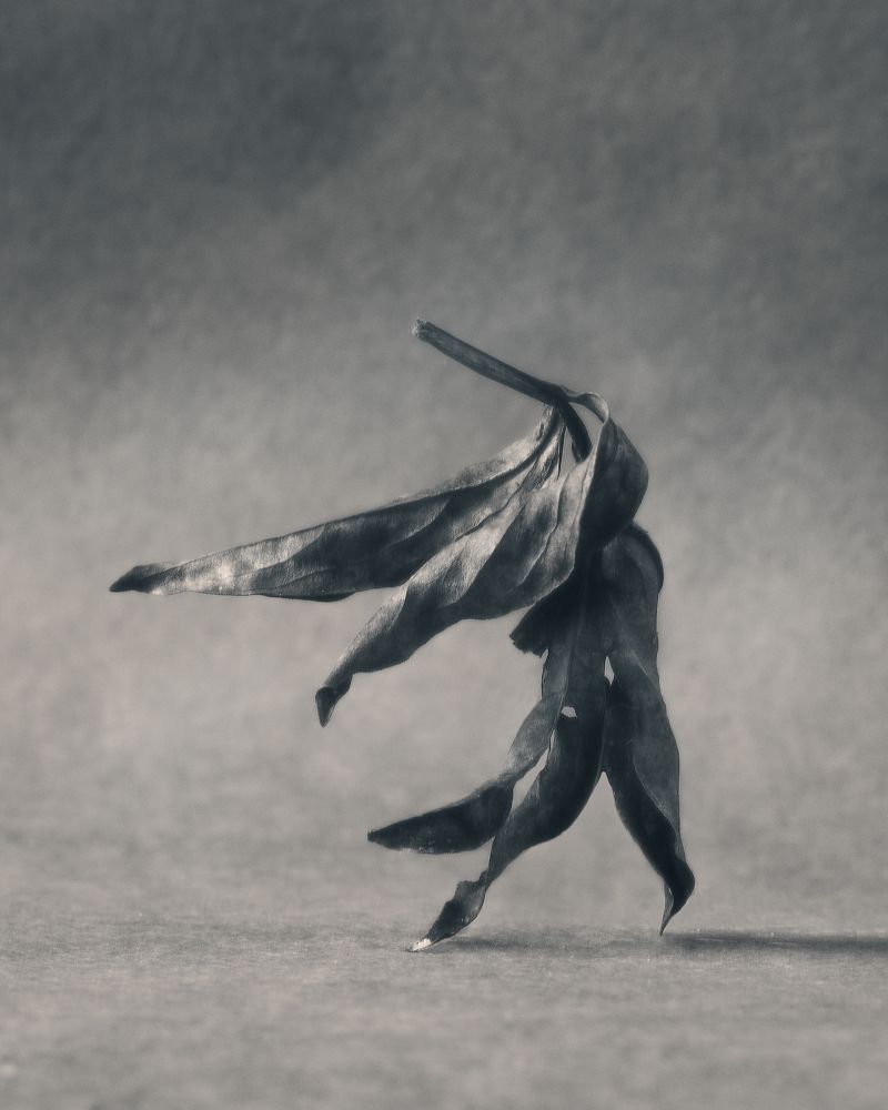 Photograph by Aliaksei Shandalin