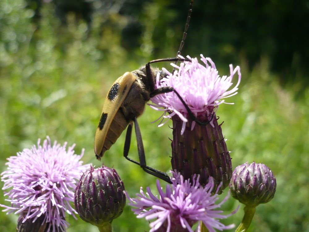 Photograph by Елена Смирнова