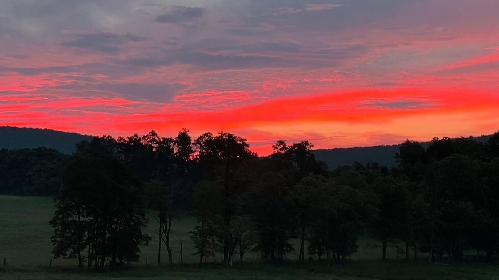 Photograph by Владимир Молостов