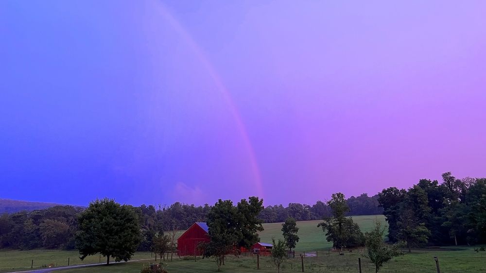 Photograph by Владимир Молостов