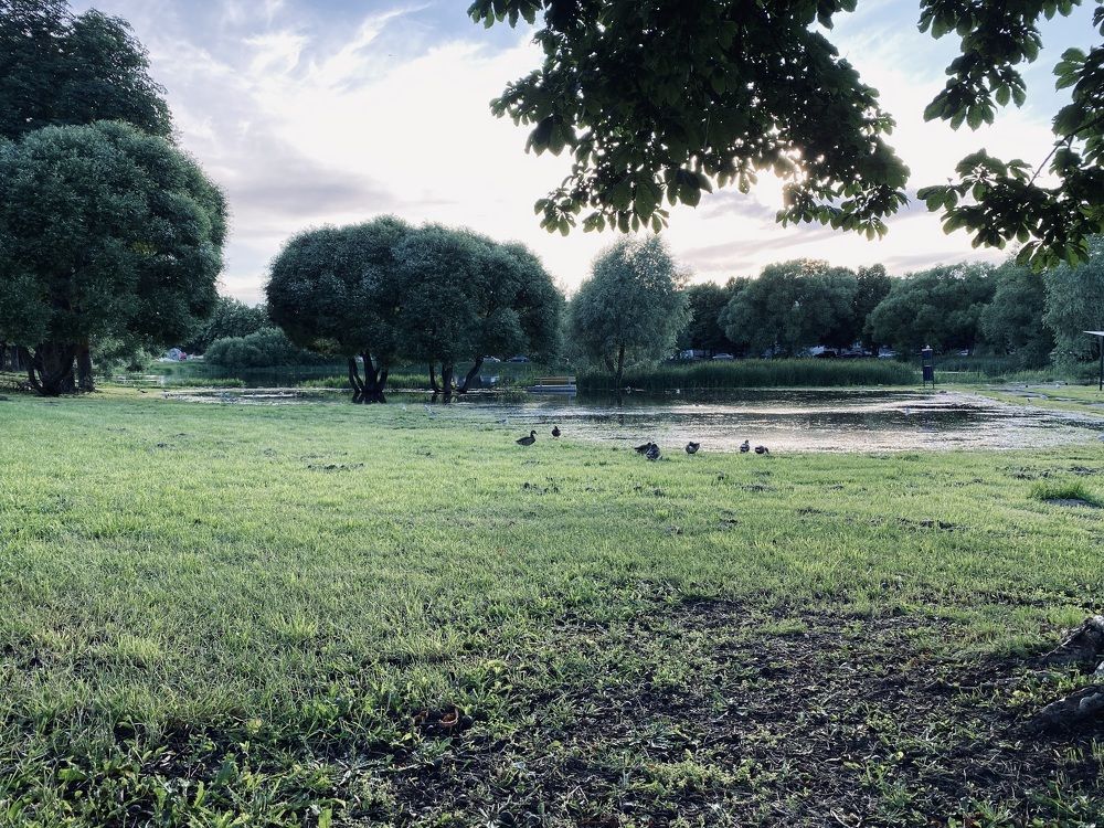 Photograph by Elena Kravchenko