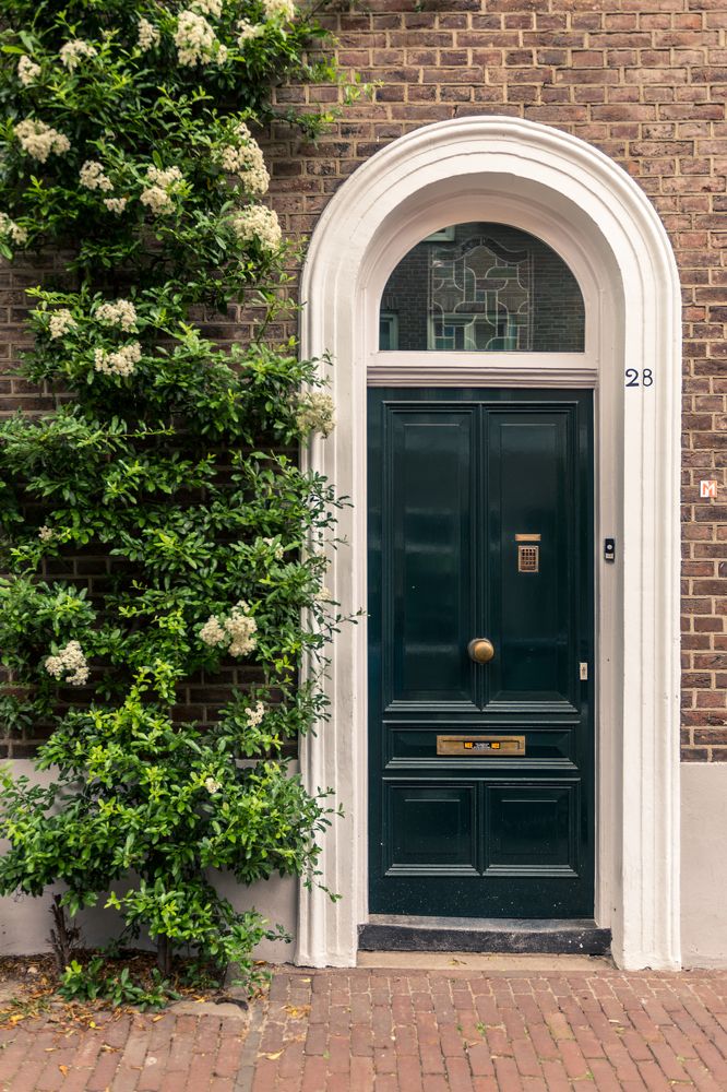 Photograph by Евгений Моляшов