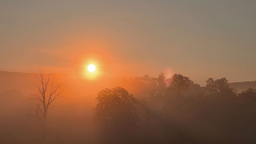 Photograph by Владимир Молостов