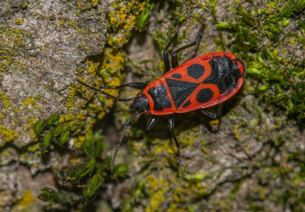 Photograph by Овечкин Павел