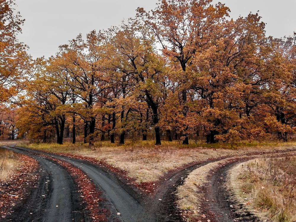 Photograph by Виктор Карпухин