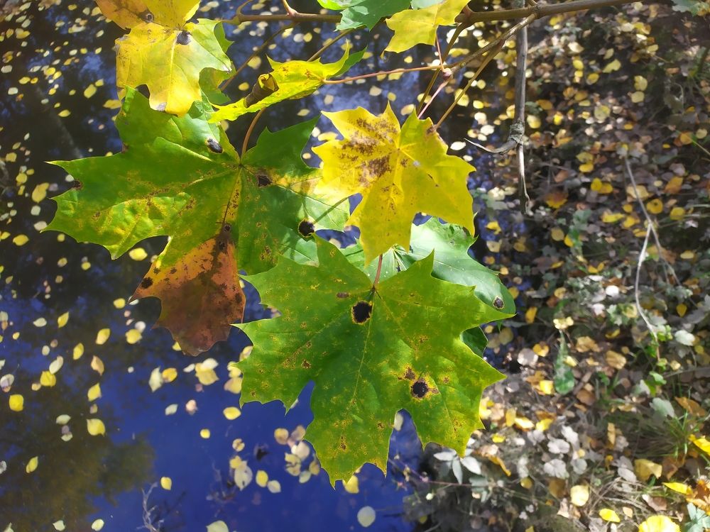 Photograph by Елена Смирнова