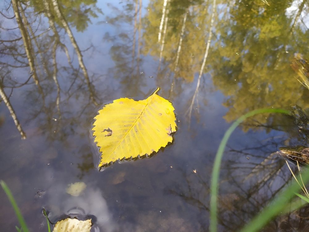 Photograph by Елена Смирнова