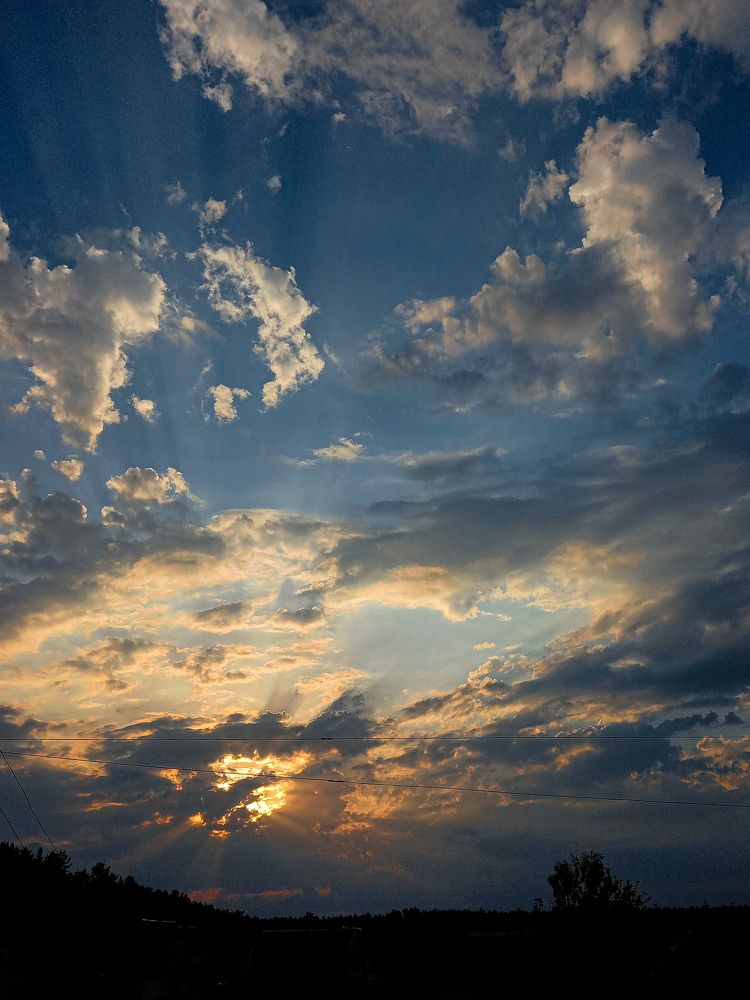 Photograph by Svetlana Yurasova