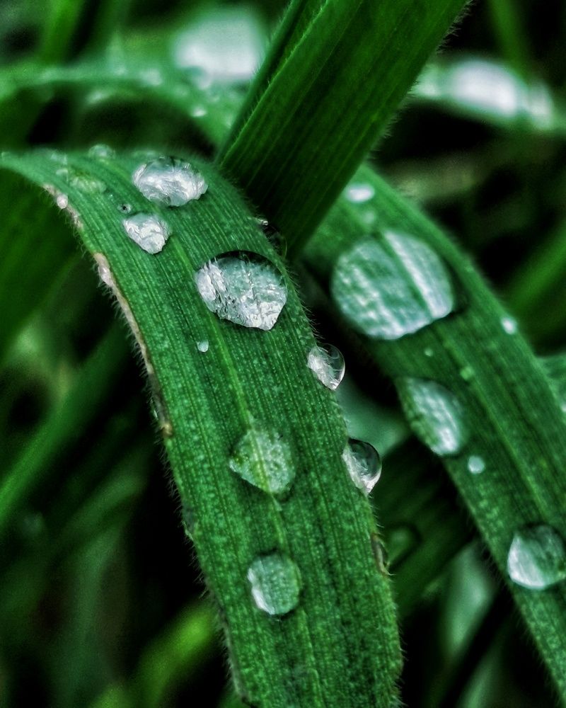 Photograph by Наталья Асоскова