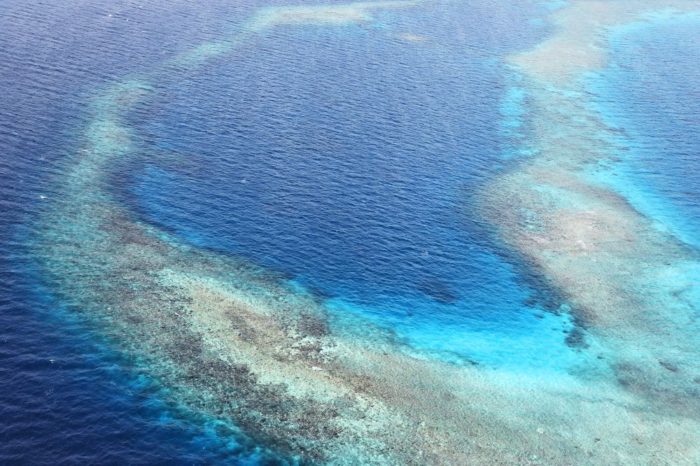 Фотография автора Evgeny Gorbunov