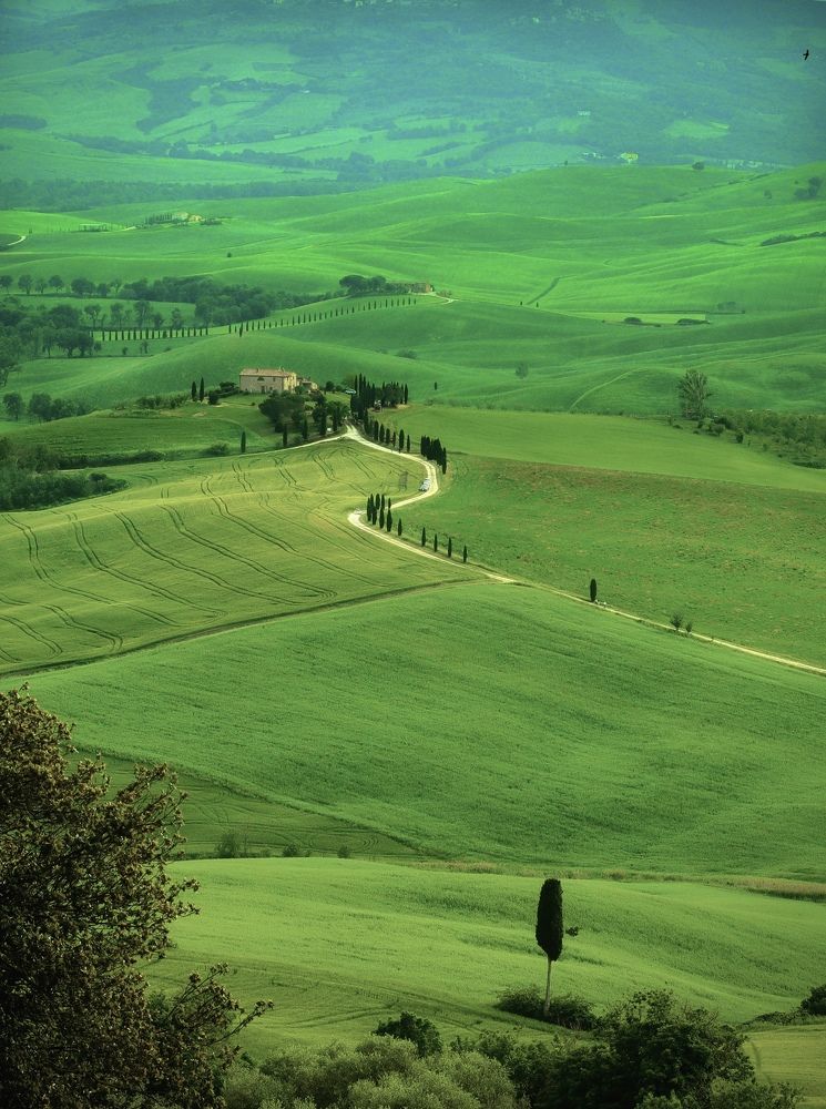 Photograph by Малика Маткарим