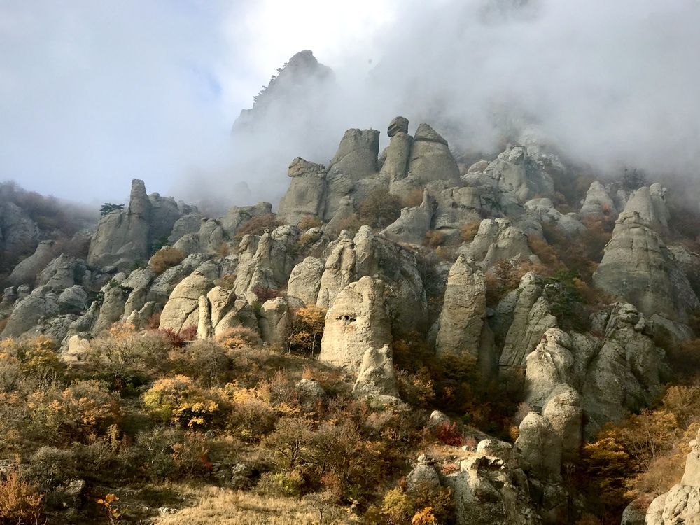 Photograph by Чин Нина