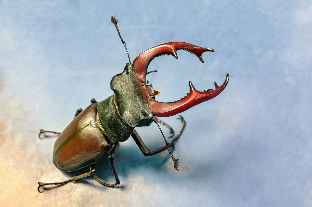 Photograph by Albert Zhager