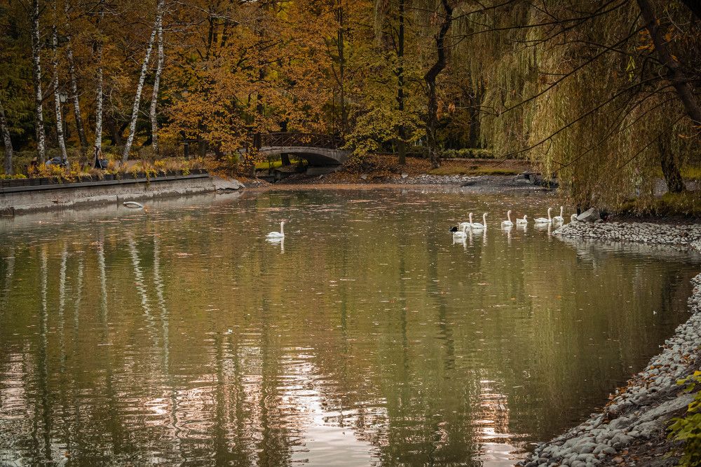 Фотография автора Оксана Белозерская
