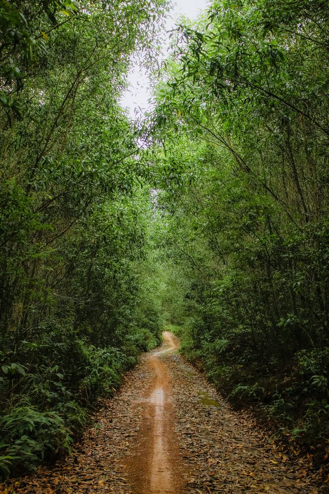 Photograph by Thị Trung Anh Do