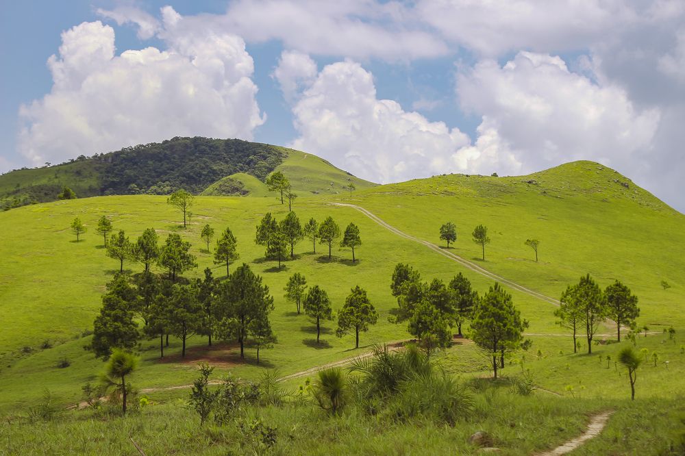 Photograph by Thị Trung Anh Do