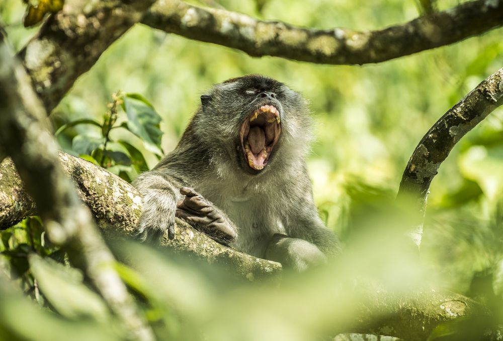 Photograph by Antonín Dudek