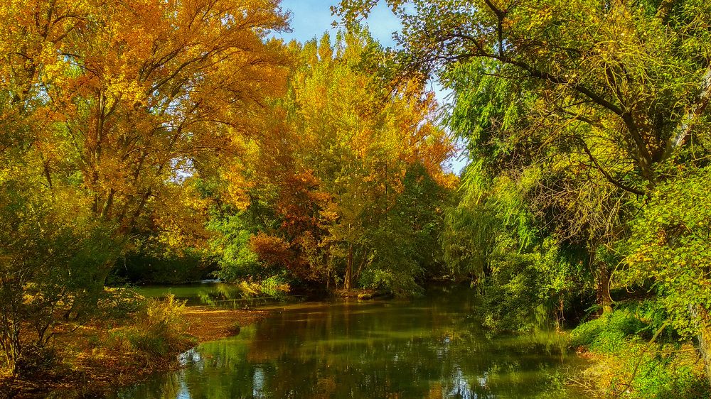 Фотография автора Алексей Головатый