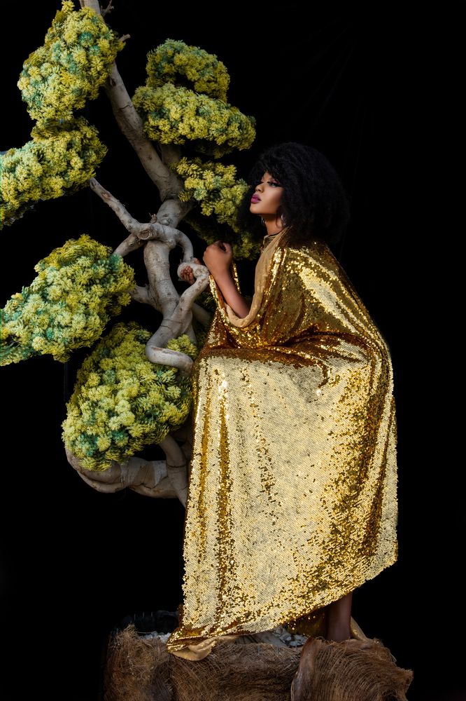 Фотография автора Ibrahim Jalal