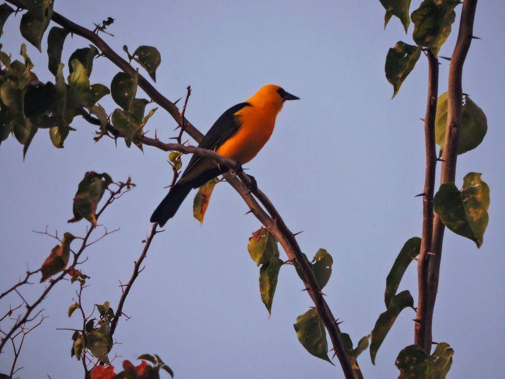 Photograph by Rodrigues Helena