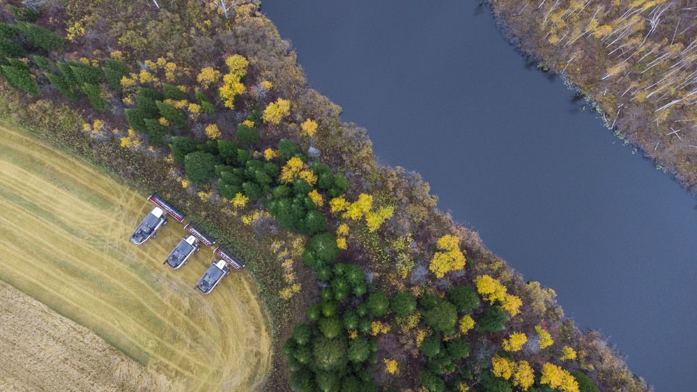 Фотография автора Алексей
