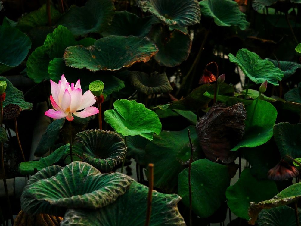 Photograph by Jeremy Canuto