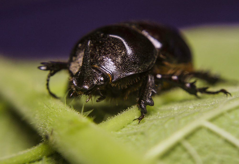 Photograph by Ricardo Sanchez Ruiz