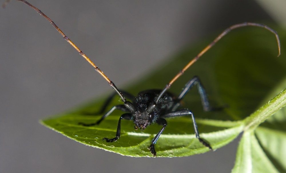 Photograph by Ricardo Sanchez Ruiz