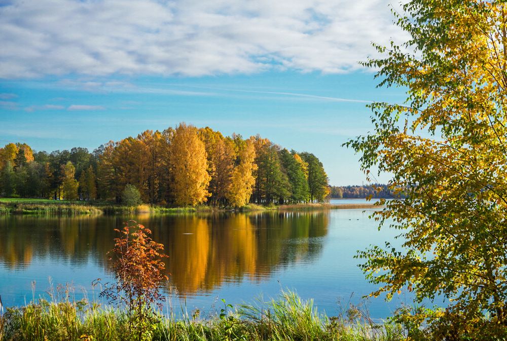 Photograph by Владимир Орлов