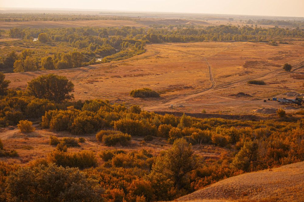 Фотография автора Nikita Gaidarenko