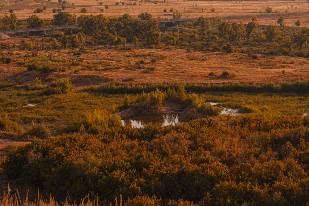 Фотография автора Nikita Gaidarenko