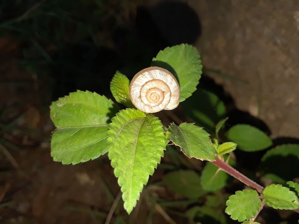 Фотография автора Jose manuel Querol