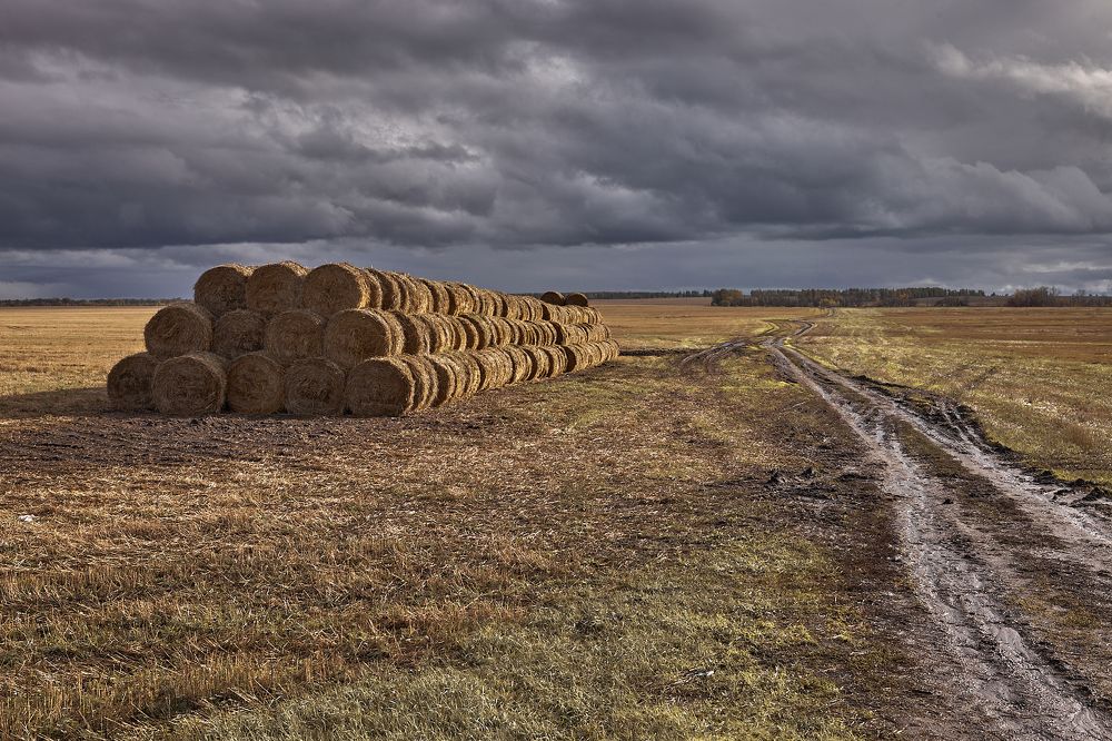 ОКТЯБРЬ УЖ НА ДВОРЕ....
