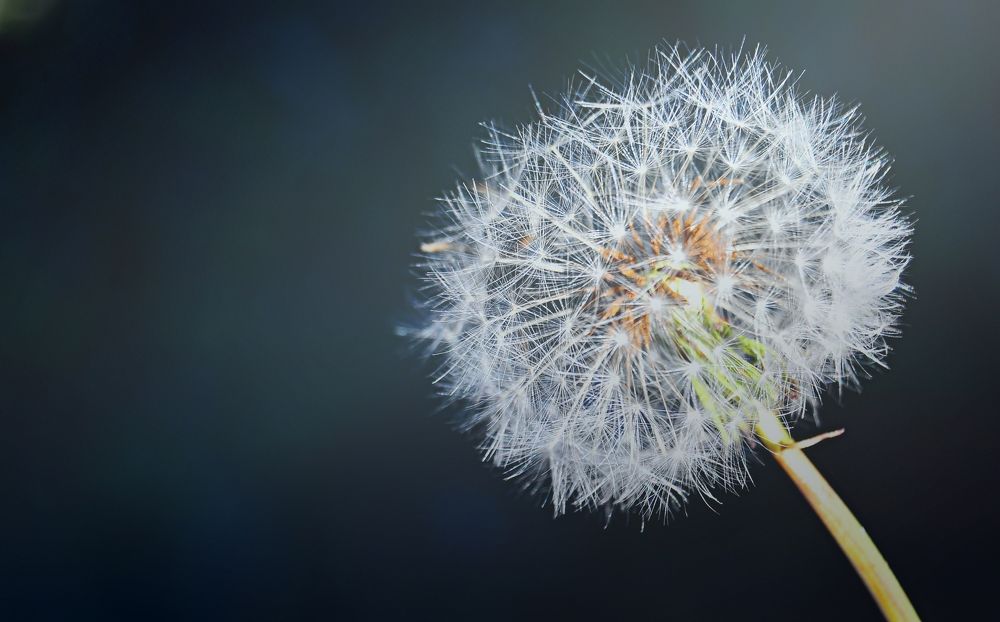 Photograph by Дмитрий Грысюк