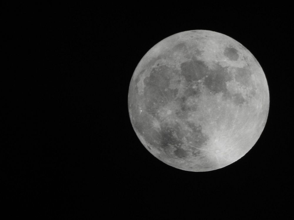 Photo #8215567