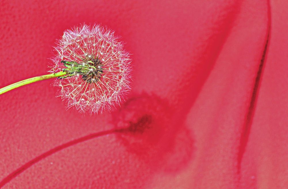 Photograph by Дмитрий Грысюк