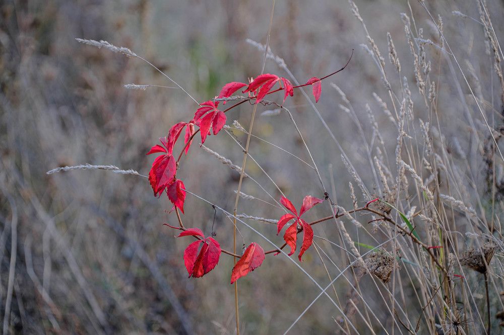 Photograph by Maksim Zhdanovich